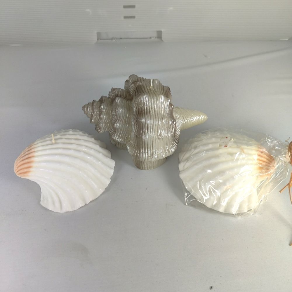 Set of 3 New Seashell Candles
